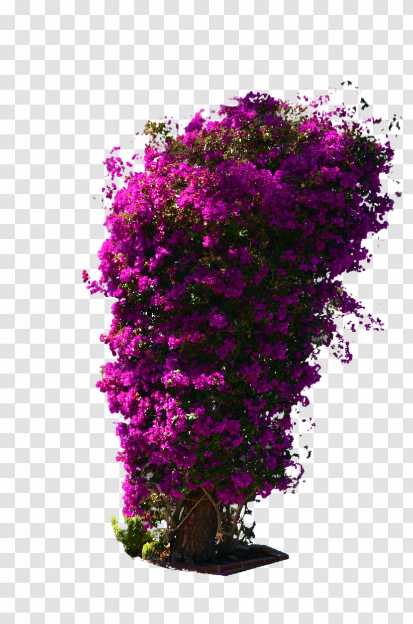 Shrub Flower Violet DeviantArt - Tree Top Transparent PNG