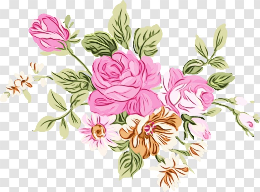 Floral Design Clip Art Watercolor Painting - Rose Family Transparent PNG