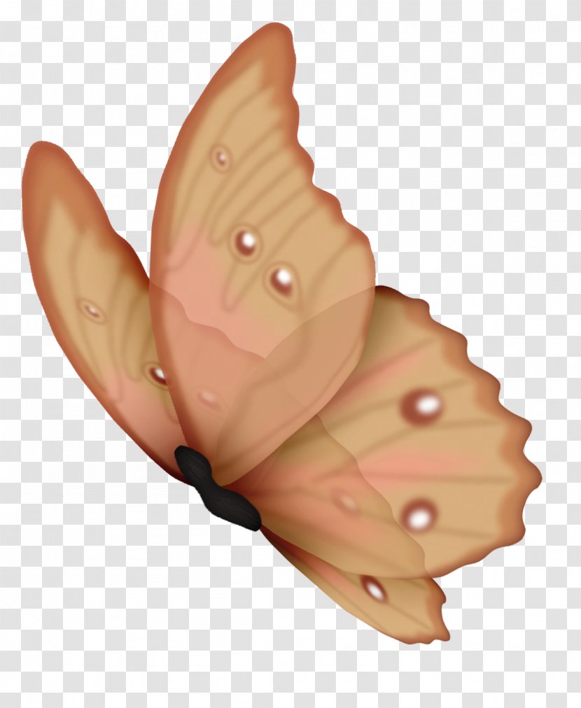 Butterfly Drawing Clip Art - Heart - Gurdwara Transparent PNG