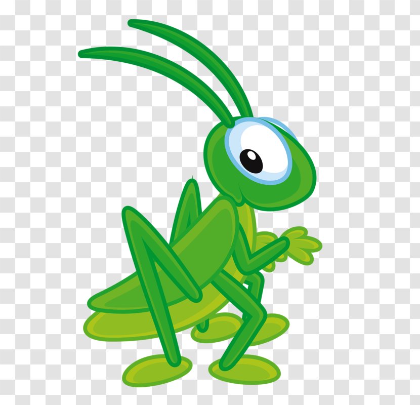 Insect Cricket Clip Art - Cartoon - Small Grasshopper Transparent PNG Small Silver Insect In Bathroom