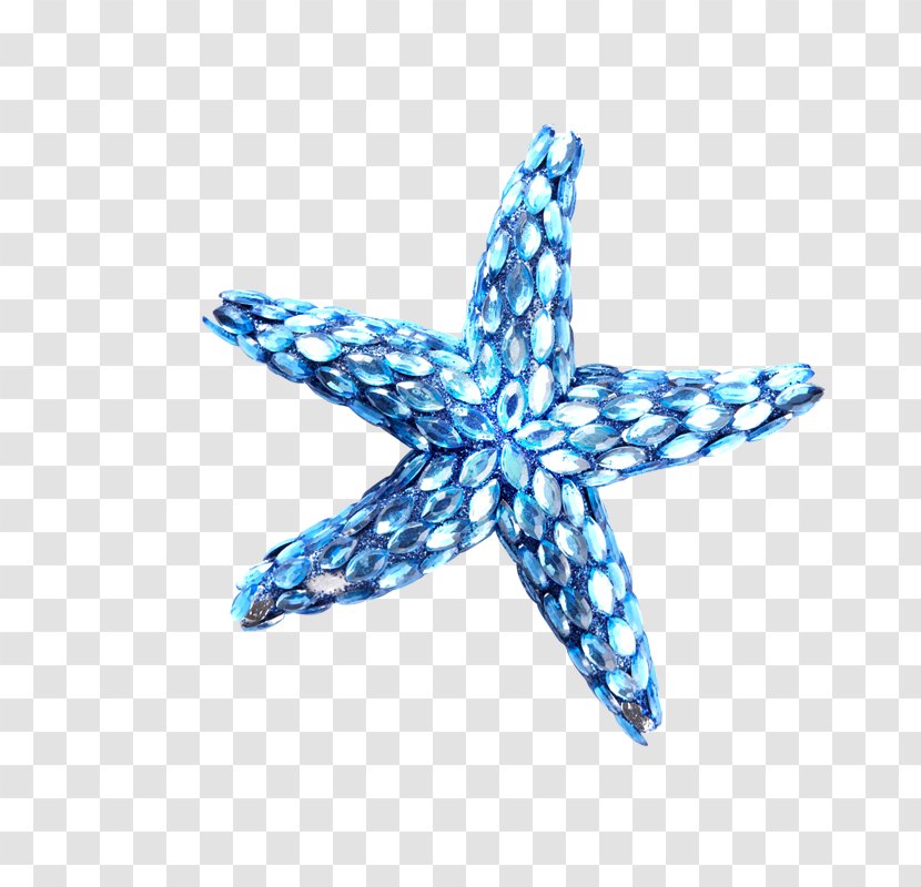 Starfish Blue Drawing Transparent PNG