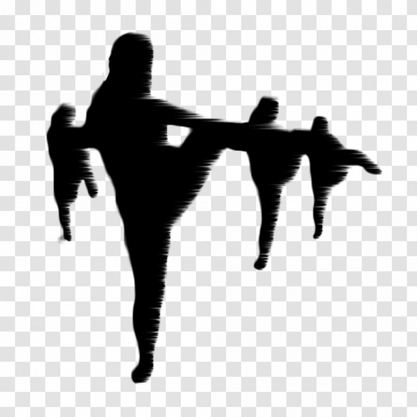 FUN-KEY Dance & Theatre Modern Contemporary Acrobatics - Germany Transparent PNG