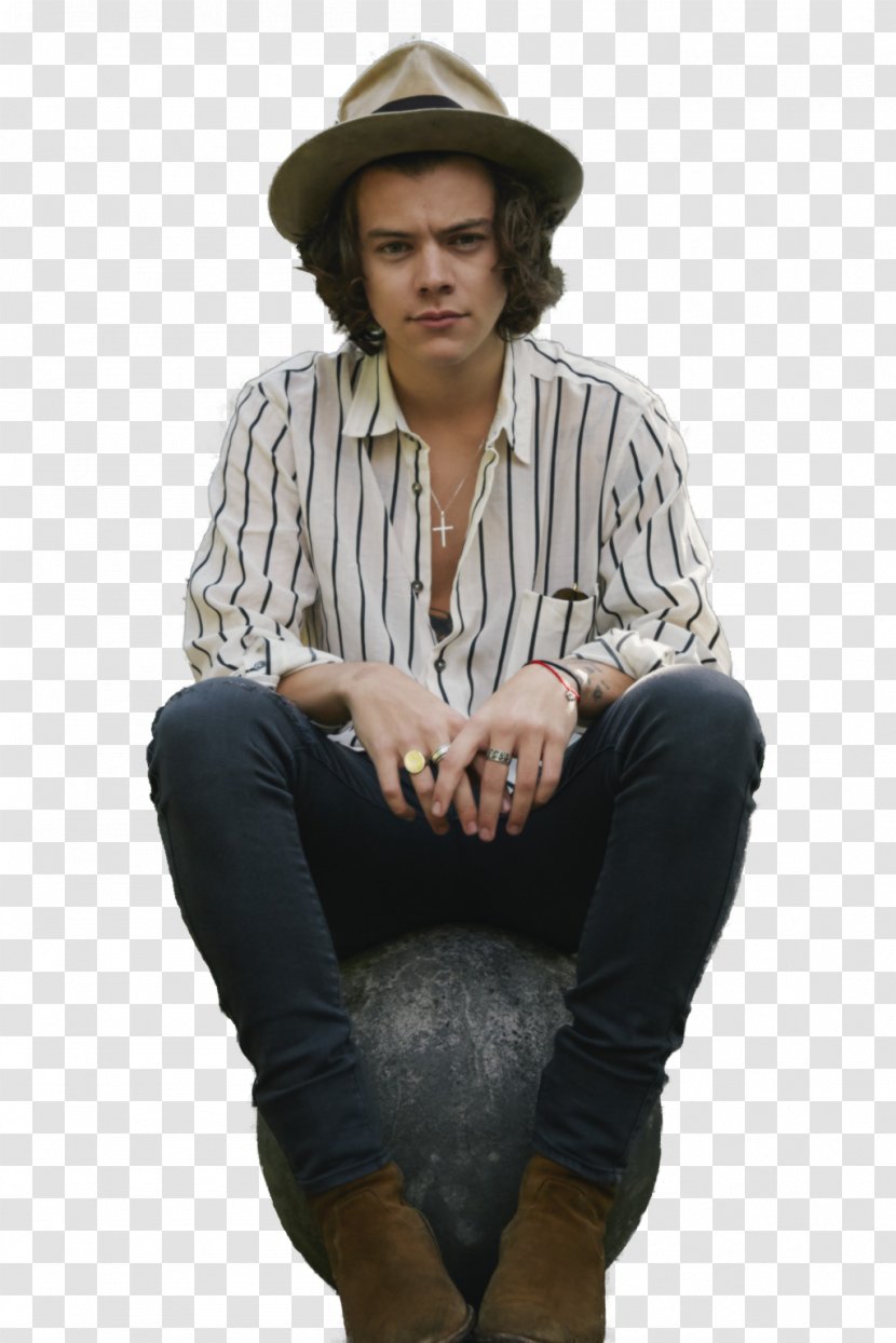 Harry Styles One Direction Four Perfect - Frame - Milla Jovovich Transparent PNG