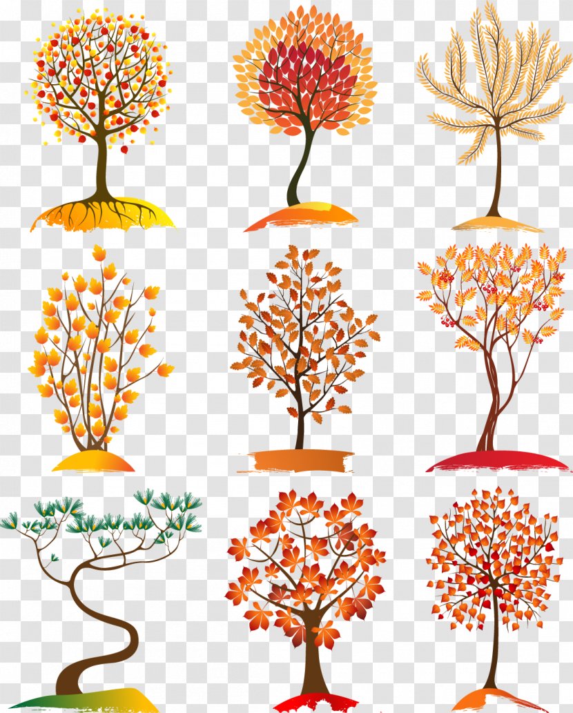 Tree Autumn Leaf Color Euclidean Vector - Pictures Transparent PNG