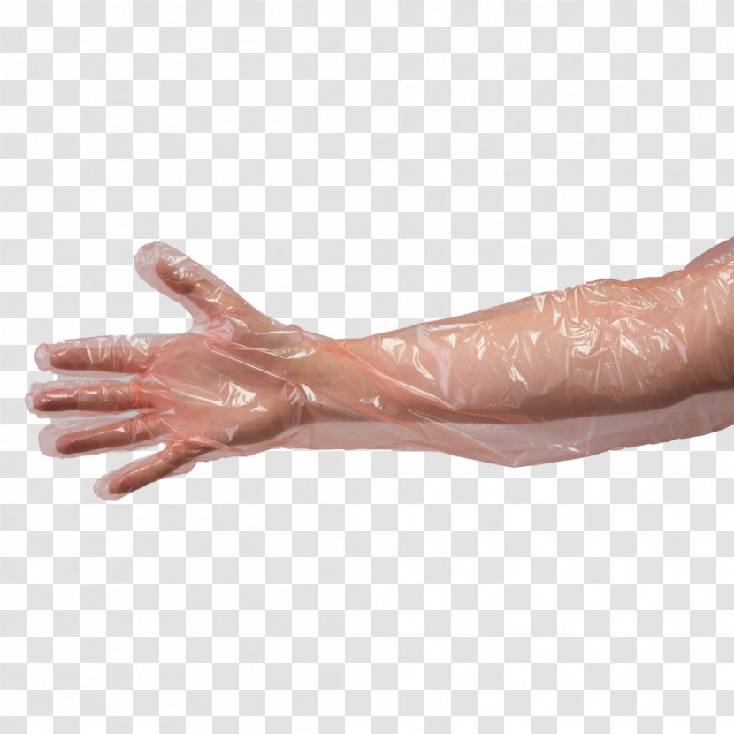 Thumb Glove Latex Wrist Hand - Model - Gloves Transparent PNG