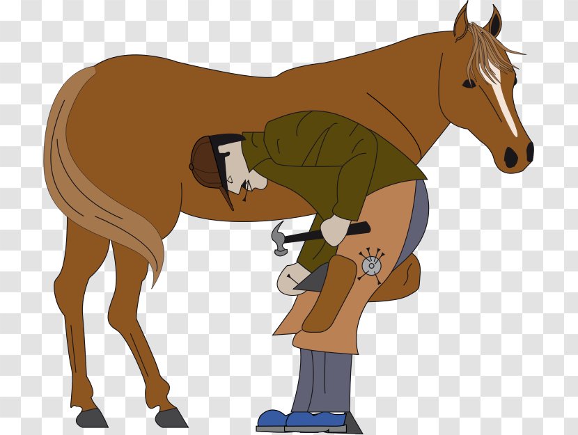 Horseshoe Farrier Clip Art Vector Graphics - Horse Transparent PNG