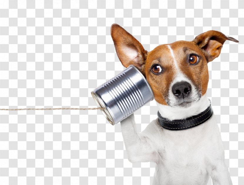 YouTube Conversation Communication Telephone Call Information - Snout - Dog Transparent PNG