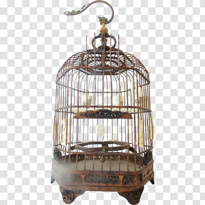 Birdcage Domestic Canary Parrot - Pigeon - Bird Transparent PNG