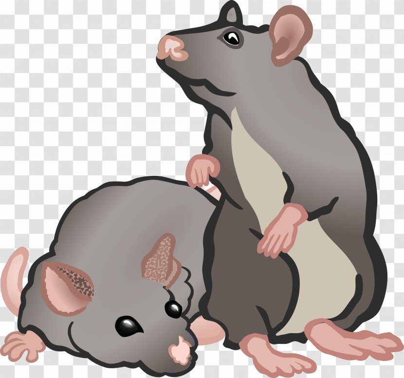 Rat Rodent House Mouse Clip Art - Small To Medium Sized Cats Transparent PNG