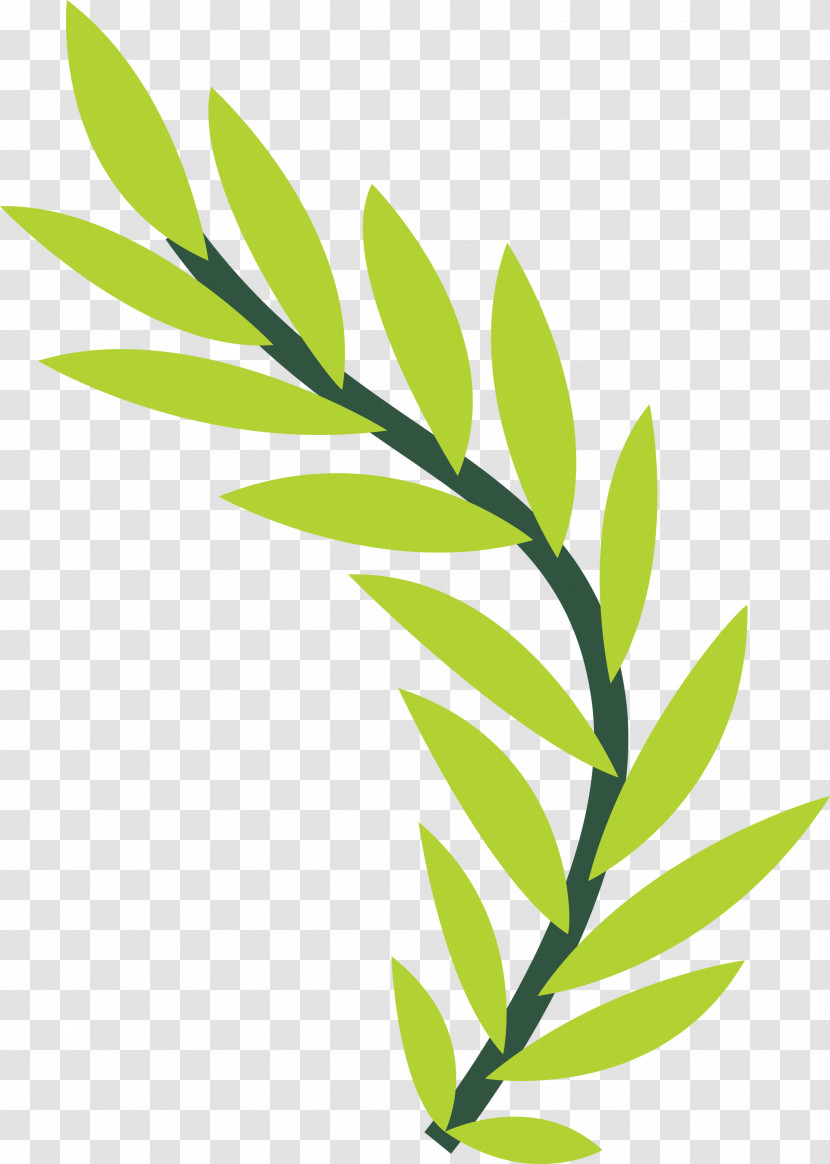 Plant Stem Leaf Grasses Line Meter Transparent PNG