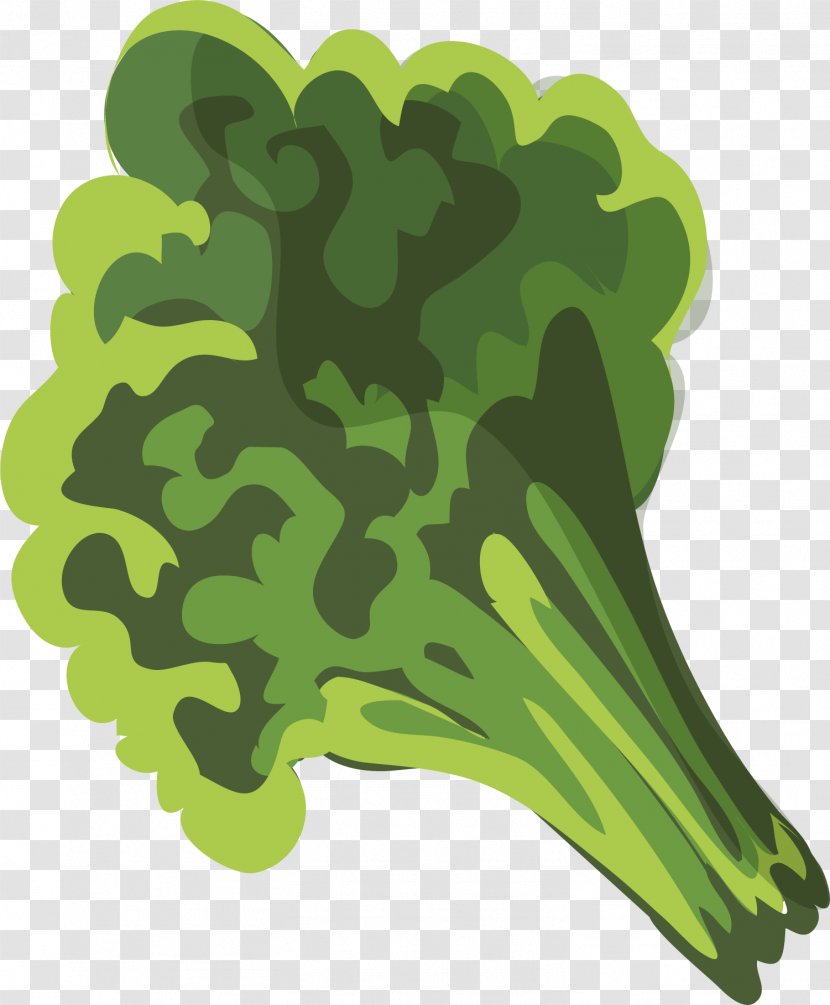 Milk Broccoli Chinese Cuisine Food - Tomato - Hand Painted Green Transparent PNG