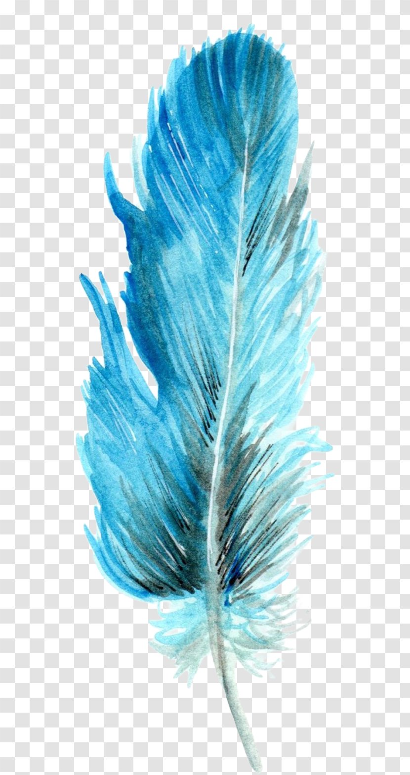 Feather - Turquoise - Feathers Watercolor Transparent PNG