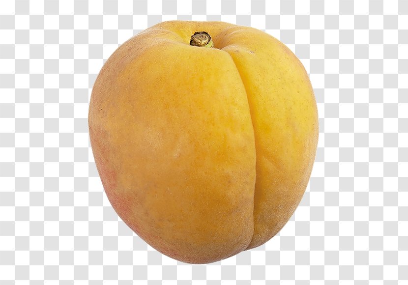 Calabaza Peach Winter Squash Gourd Cucurbita Transparent PNG