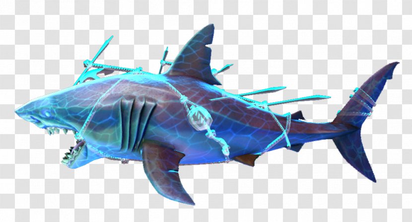 Great White Shark Requiem Sharks Marine Biology Fauna - Cartilaginous Fish Transparent PNG