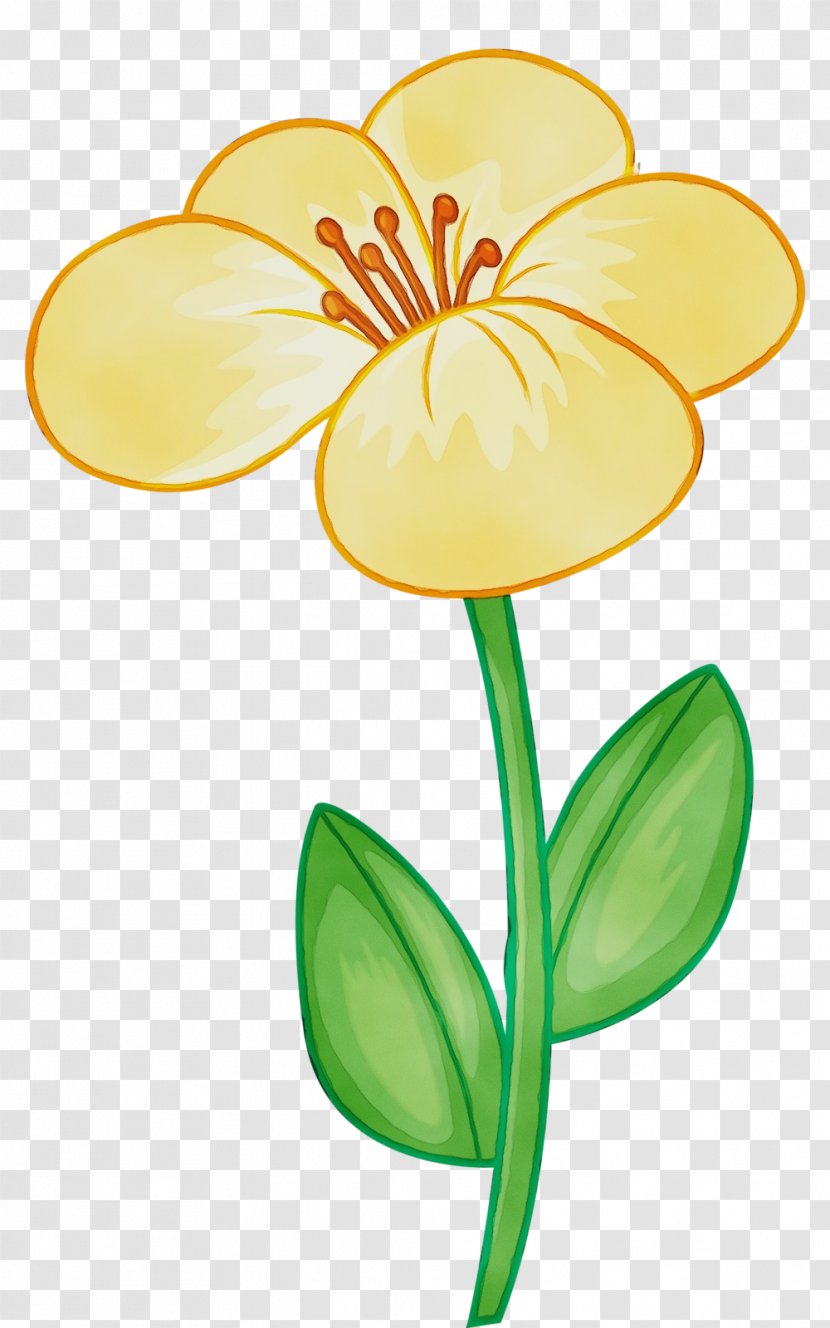 Clip Art Yellow Flower Plant Petal - Watercolor - Flowering Stem Transparent PNG