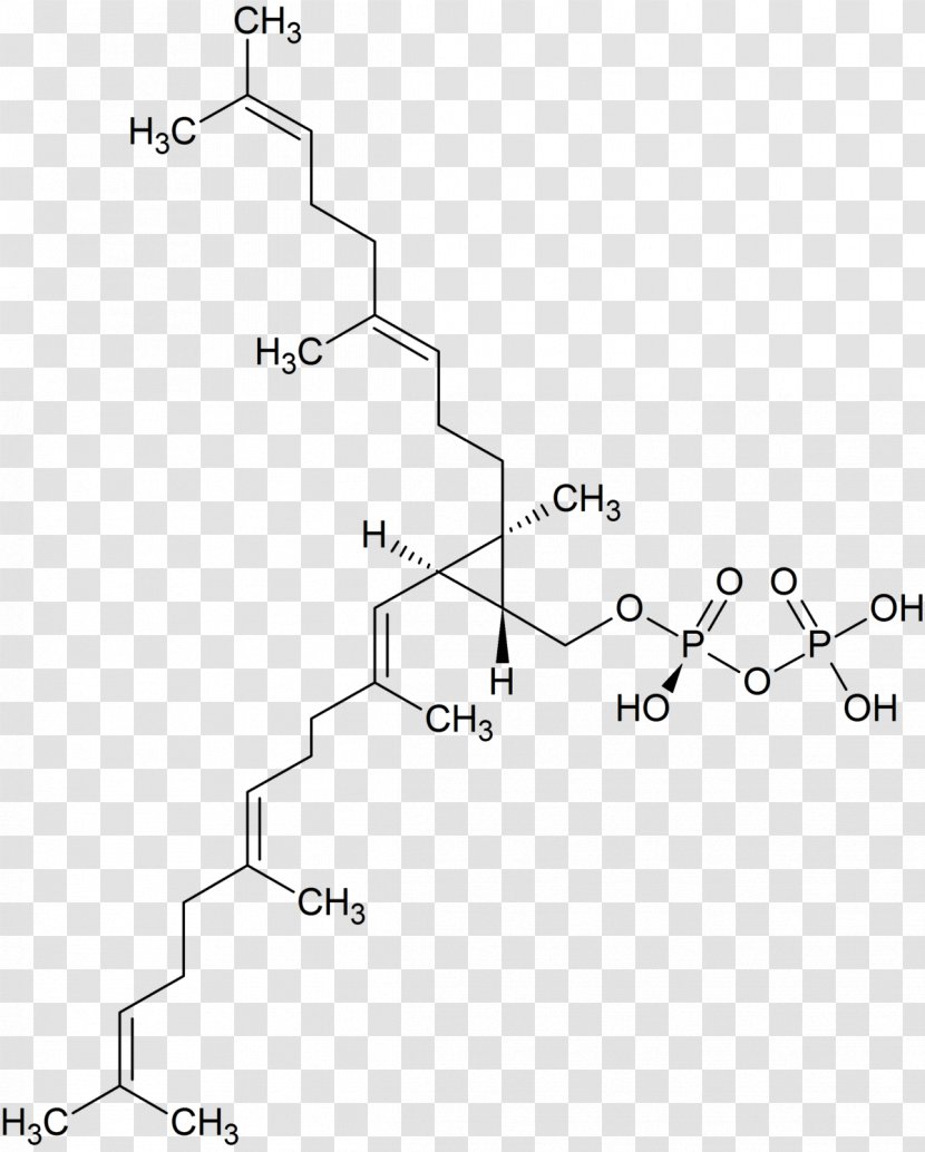 {(1R,2R,3R)-2-[(3E)-4,8-dimethylnona-3,7-dien-1-yl]-2-methyl-3-[(1E,5E)-2,6,10-trimethylundeca-1,5,9-trien-1-yl]cyclopropyl}methyl Trihydrogen Diphosphate Farnesyl Pyrophosphate Lanosterol Squalene - Geranyl Transparent PNG