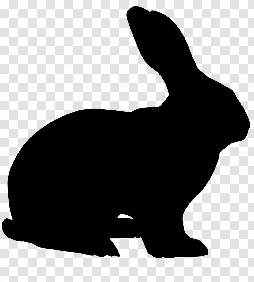 Hare European Rabbit Easter Bunny Dwarf - Whiskers - 214 Transparent PNG