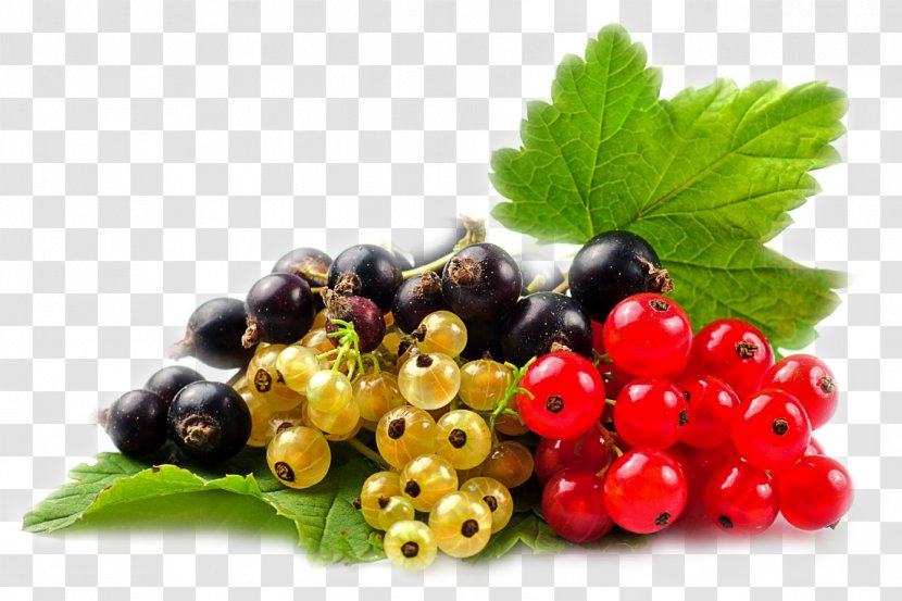 Blackcurrant Redcurrant Berry Zante Currant White - Frutti Di Bosco - Grape Transparent PNG