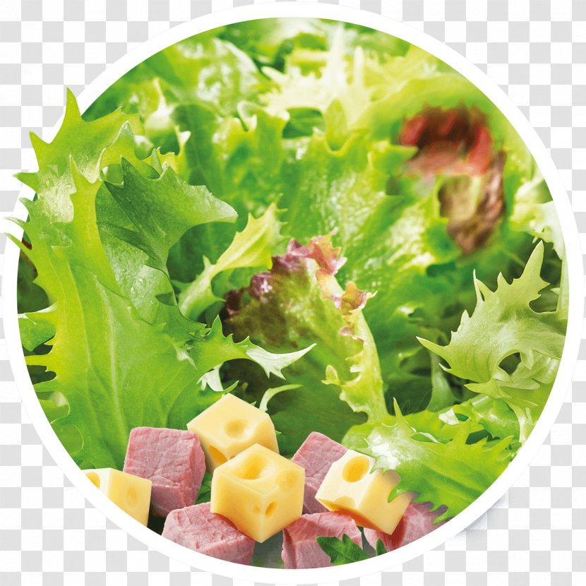 Lettuce Caesar Salad Vegetarian Cuisine Vinaigrette Chicken - Frame - Salade De Crudites Transparent PNG