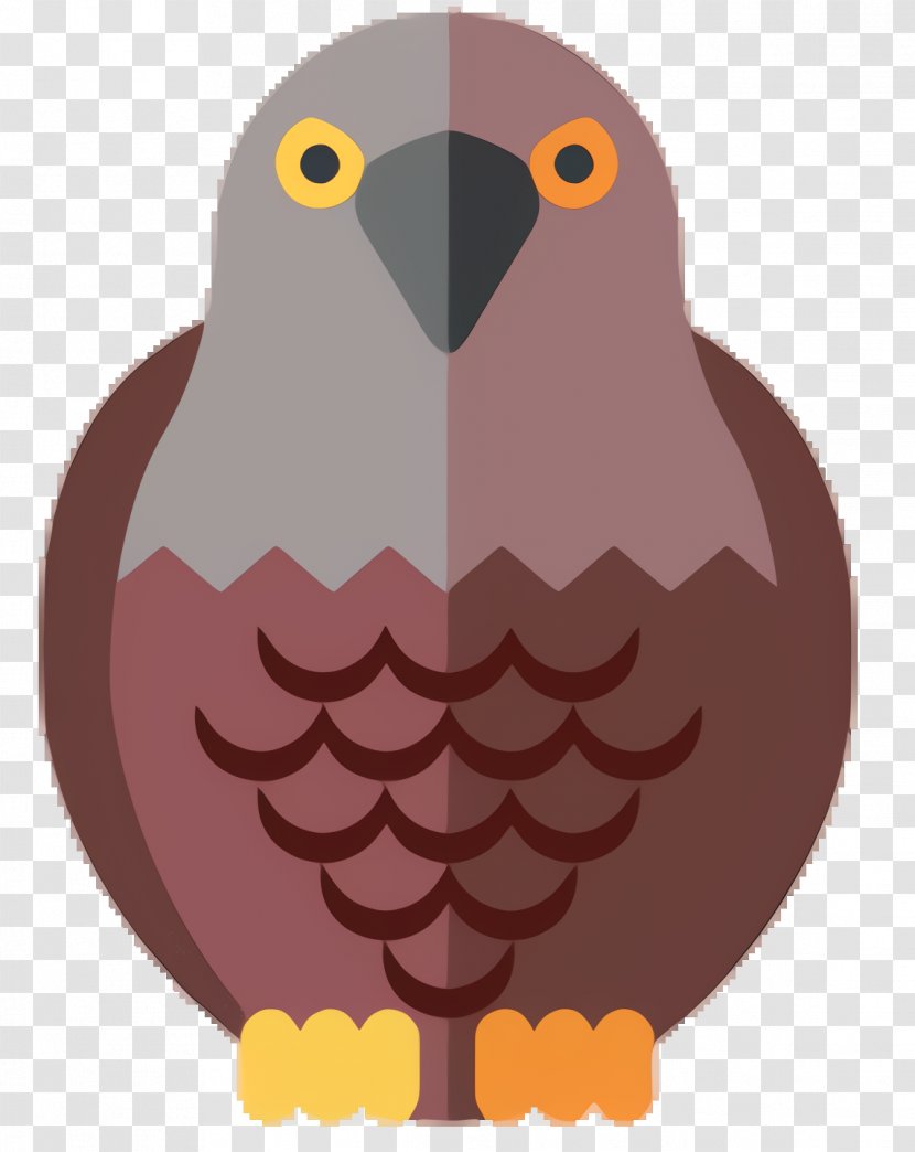 Eagle Drawing - Cartoon - Falconiformes Transparent PNG