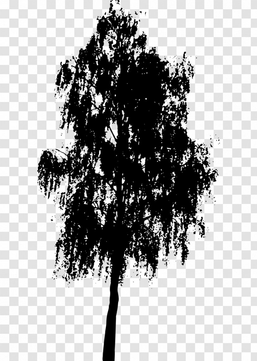 Tree Desktop Wallpaper Clip Art - Plant Transparent PNG