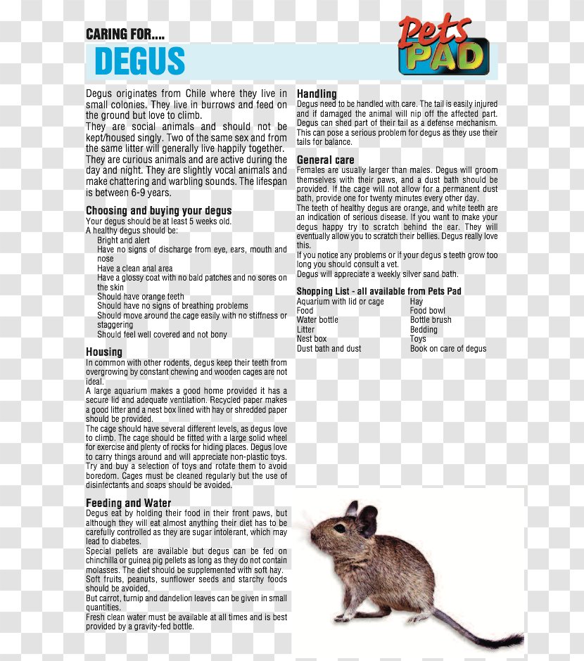 Muroids Golden Hamster Font - Pet Care Transparent PNG
