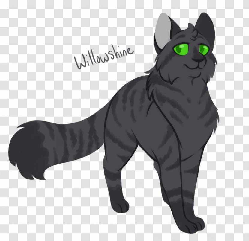 Black Cat Korat Domestic Short-haired Warriors Willowshine - Tail - Warrior Drawings Transparent PNG