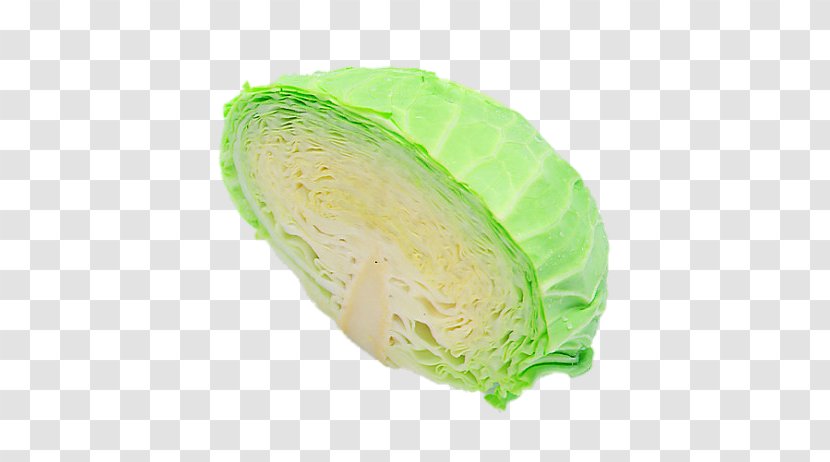 Cabbage Download - Leaf Vegetable - Fresh Transparent PNG