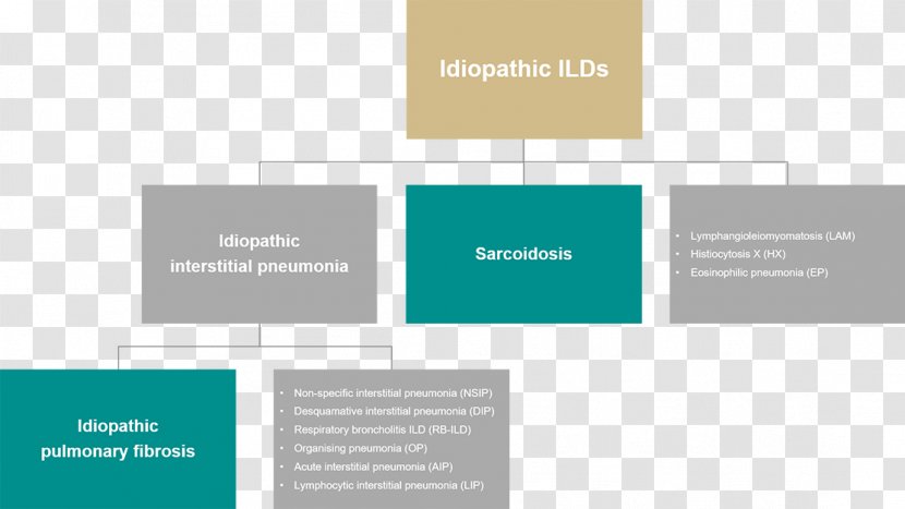 Idiopathic Pulmonary Fibrosis Interstitial Pneumonia Disease Lung Non-specific - Pathophysiology Transparent PNG