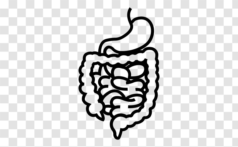 Digestion Gastrointestinal Tract Disease Human Digestive System - Heart - Health Transparent PNG