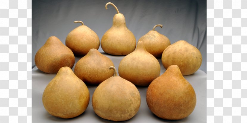 Gourd Boxed.com Shopping Grocery Store - Cucurbita - Freight Transport Transparent PNG