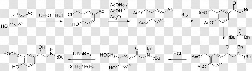 Molecule Apolaire Verbinding Amphiphile Methyl Group Substituent - Tree - Watercolor Transparent PNG