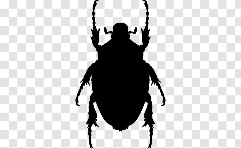 Beetle Mosquito Pest Ladybird Clip Art Transparent PNG