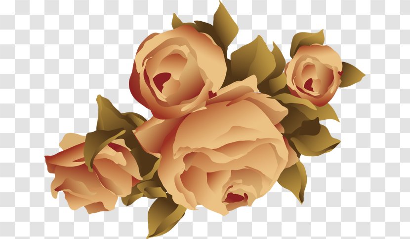 Garden Roses Beach Rose Flower Adobe Illustrator - Petal - Yellow Floral Elements Transparent PNG