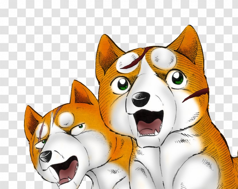 Whiskers Dog Breed Cat - Cartoon Transparent PNG