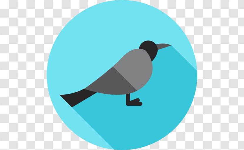 Flat Bird - Wing - Azure Transparent PNG