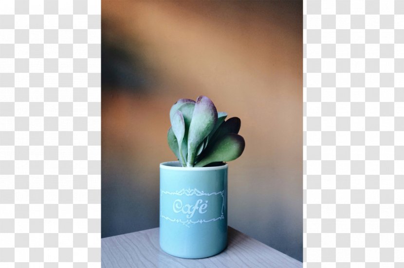 Ceramic Flowerpot - Flower Transparent PNG