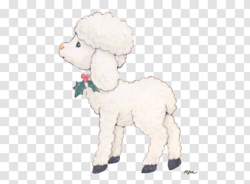 Sheep Goat Standard Poodle Image Drawing - Goats Transparent PNG