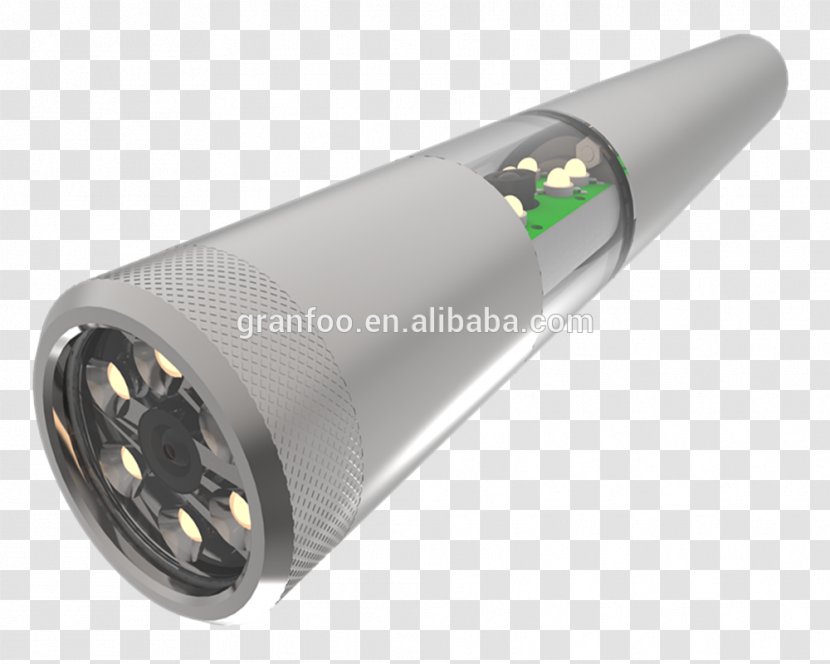 Flashlight - Svalbard Undersea Cable System Transparent PNG