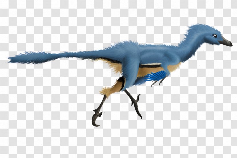 Troodon Velociraptor Dromaeosaurus Dinosaur Feather Transparent PNG