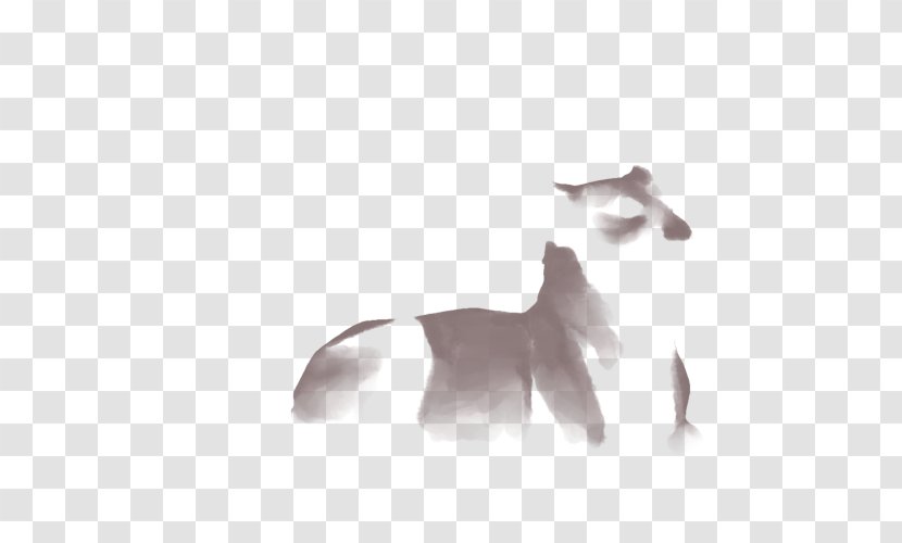 Cat Dog Bird Mammal Fauna - Canidae Transparent PNG