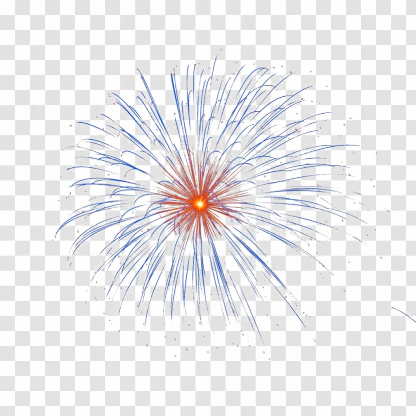 Image Vector Graphics Fireworks Transparency - Organism Transparent PNG