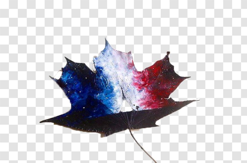 November 2015 Paris Attacks Drawing Art Illustration - Leaves Star Painting Transparent PNG