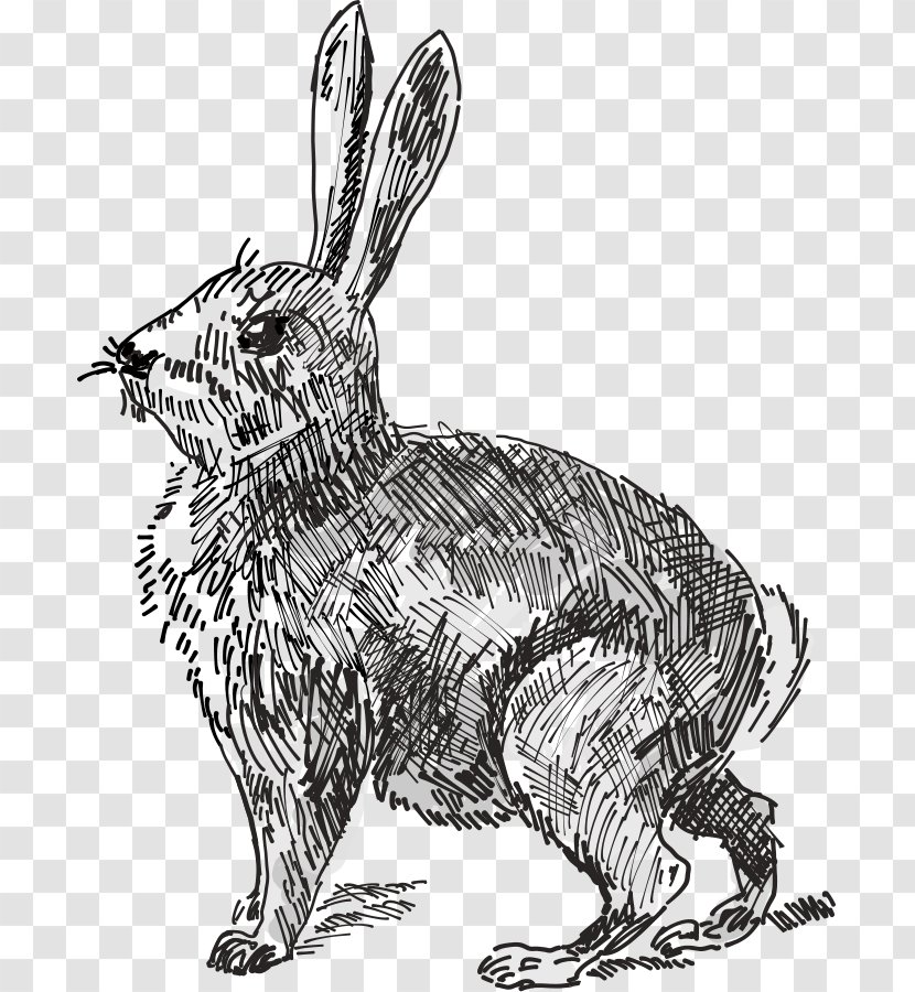 White Rabbit Easter Bunny Hare Clip Art - Images Free Transparent PNG