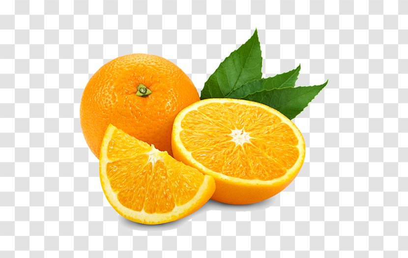 Orange Juice Mayorazgo Export S.L. Citrus × Sinensis Oil - Fruit Transparent PNG