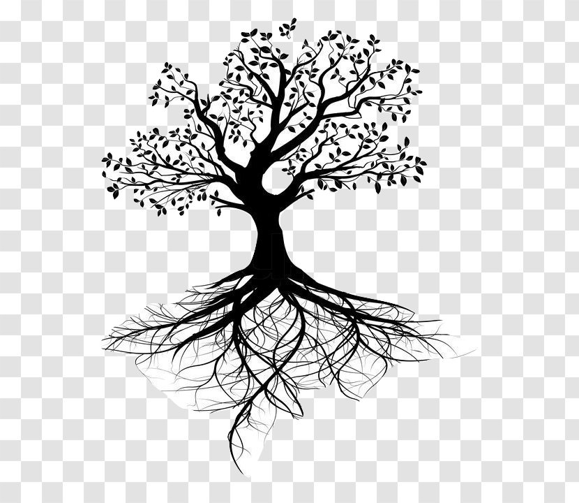 Stock Photography Tree Of Life Root - Black And White Transparent PNG