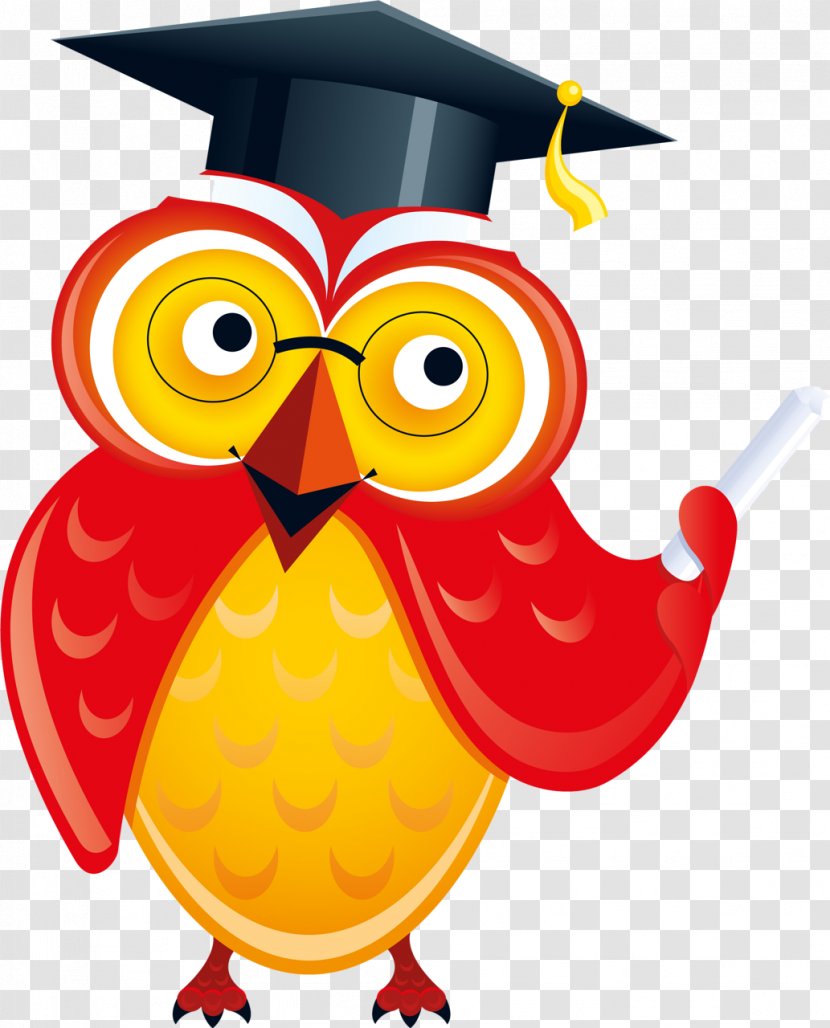 Graduation Background - National Primary School - Bird Of Prey Transparent PNG