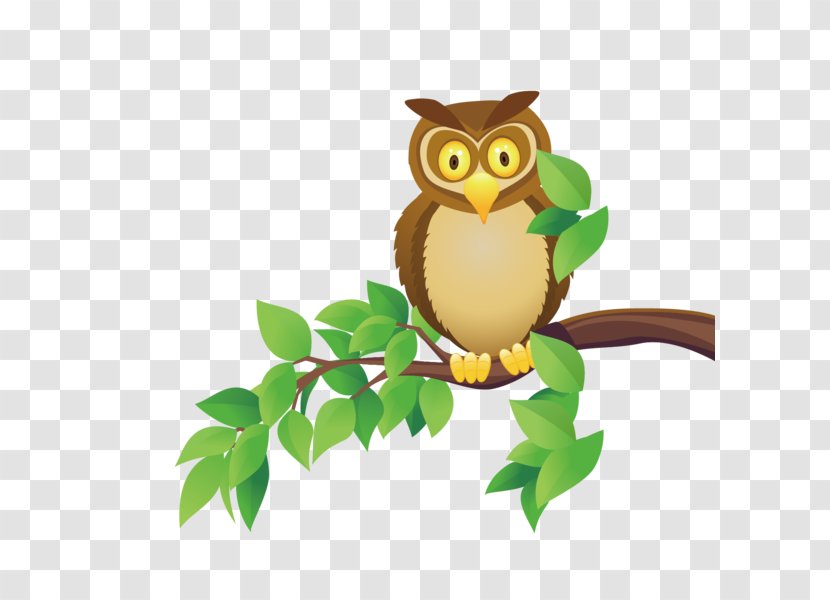 Owl Cartoon - Animal Figure - Screech Transparent PNG