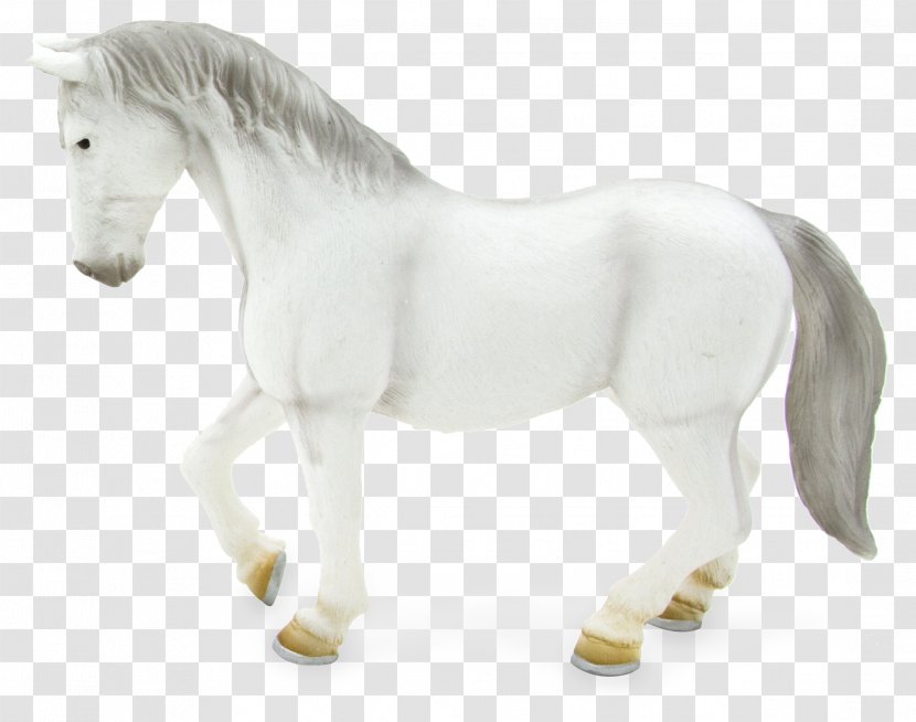 Lipizzan Andalusian Horse Spanish Riding School Mare Stallion - Mane - Rein Transparent PNG