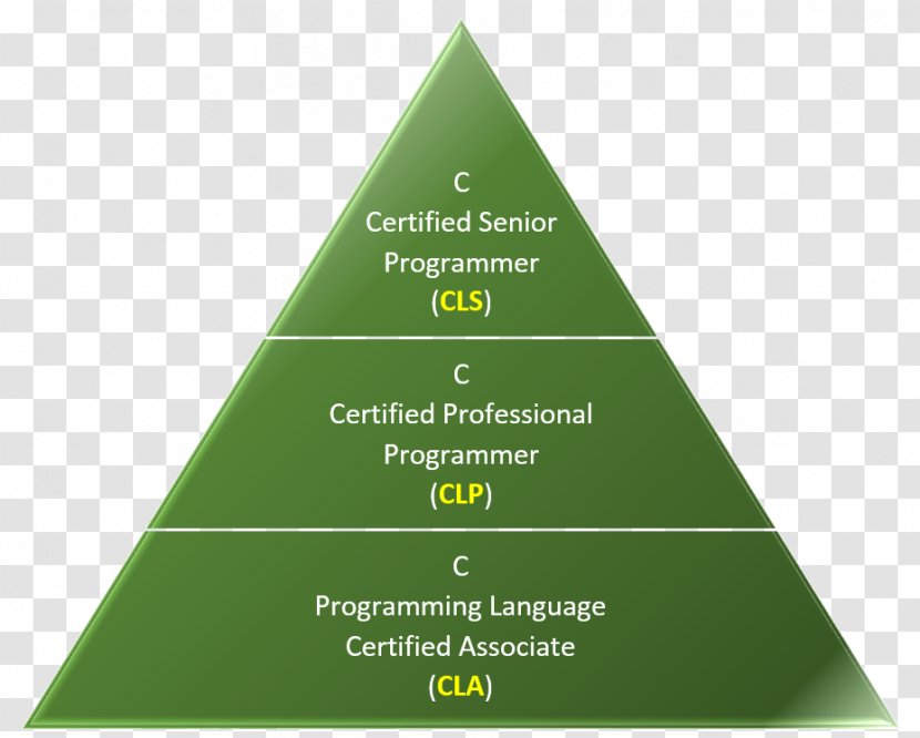 The C Programming Language Certification - Senior Secondary Certificate Of Education Transparent PNG